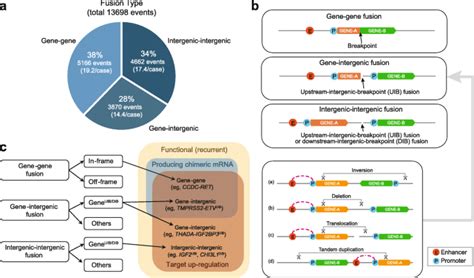 Dysregulation of cancer genes by recurrent intergenic fusions | Genome Biology | Full Text