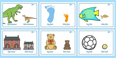 Big And Little Comparison Display Posters - big and little