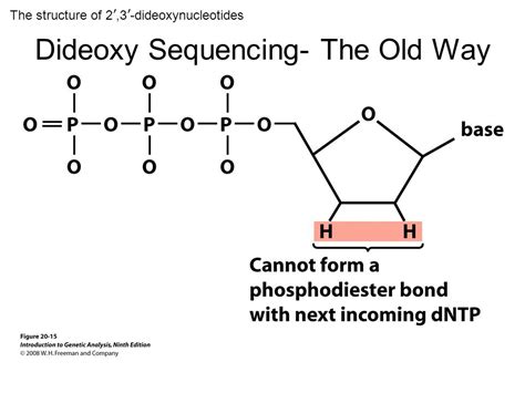 Genomics I: The Transcriptome RNA Expression Analysis Determining genomewide RNA expression ...