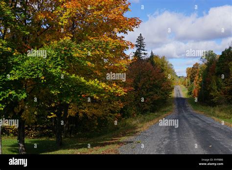 Fall Color in Muskoka Stock Photo - Alamy