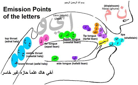 How To Learn Tajweed Rules Professionally ? | The Quran Classes