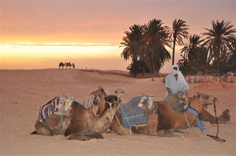 Douz: la porta del Sahara