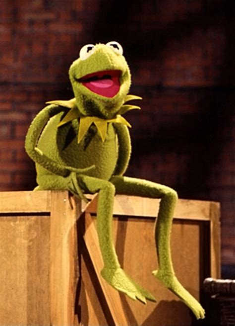 Kermit the Frog - Muppet Wiki