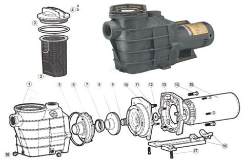 Hayward Super II Pump Parts