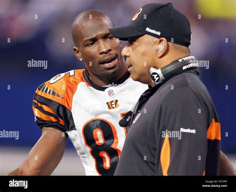 Cincinnati Bengals wide receiver Chad Ochocinco (85) talks with head ...