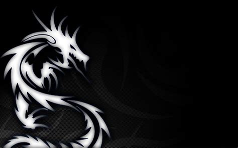 White Dragon Wallpapers - Top Free White Dragon Backgrounds ...