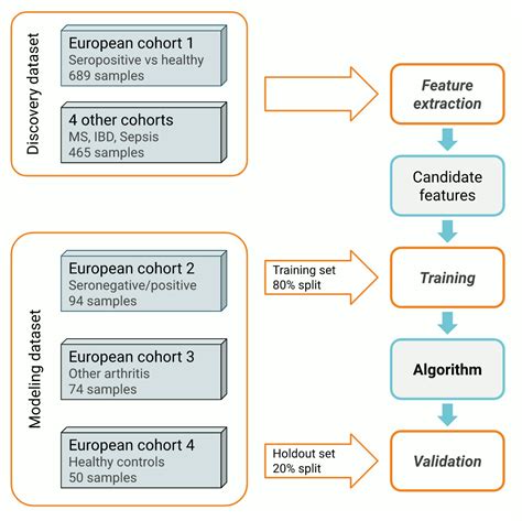 Development and Performance of a Diagnostic Precision Biomarker for Seronegative Rheumatoid ...