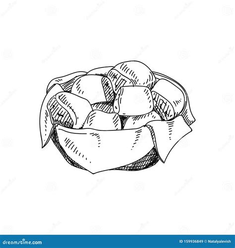 Dinner Rolls Hand Drawn Vector Illustration Stock Vector - Illustration of design, bake: 159936849