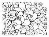 Coloring Book For Adult And Older Children Page With Flowers  sketch template