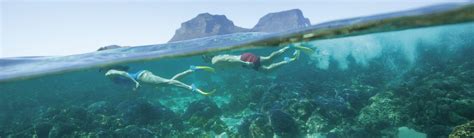 Diving, Snorkeling & Swimming in NSW - Best Places to Visit