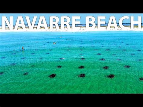 Discover the Wonders of Navarre Beach Marine Park - siresays.com