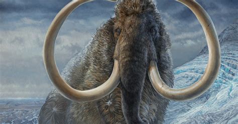 Scientists map 17,000-year-old woolly mammoth's path using its tusk - CNET