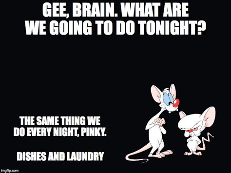 pinky and the brain Memes & GIFs - Imgflip