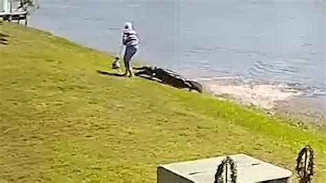 New Video Shows Fatal Florida Alligator Attack