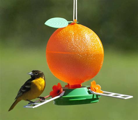 Bird Feeders for Orioles