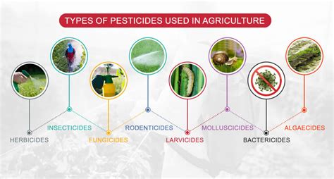 Types Of Pesticides Used In Farming – Importance And Benefits