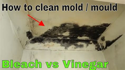 Can Vinegar Kill Mold On Bathroom Ceiling - Bathroom Poster