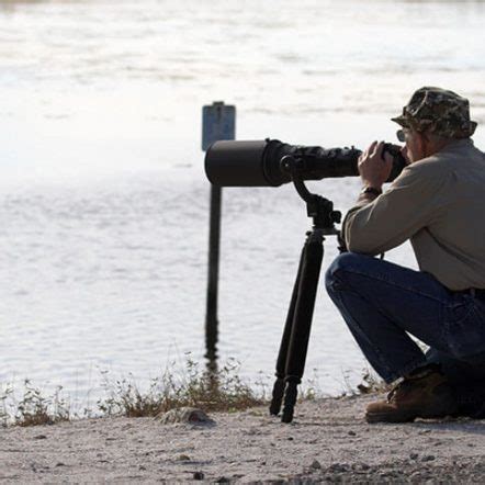 The 9 Best Tripods For Birds And Wildlife Photography