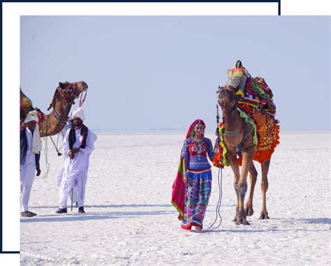 Rann Utsav Booking 2023-2024 | Tent City Rann Utsav Packages