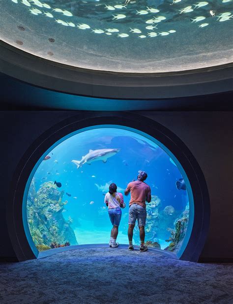 Sobela Aquarium at the Kansas City Zoo & Aquarium by EHDD - Architizer