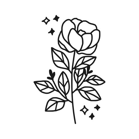 Vintage hand drawn peony flower line art vector element 34957138 Vector ...