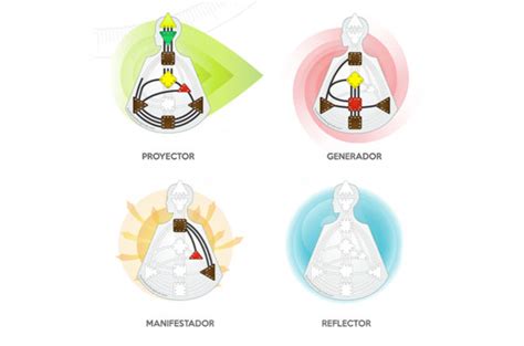 Los CuatroTipos de DiseñoHumano – The Human Design LAB