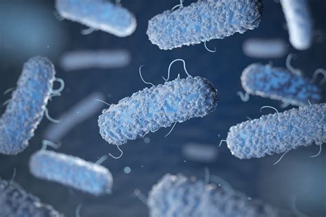 How to prevent Legionella outbreaks in your building water systems • s::can