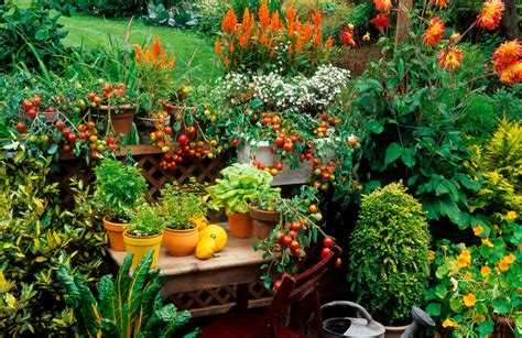 Garden Patio Ideas | Kellogg Garden Organics™