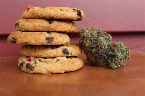 Medical Marijuana Edibles Are Now Legal in Florida: A Look at Their ...