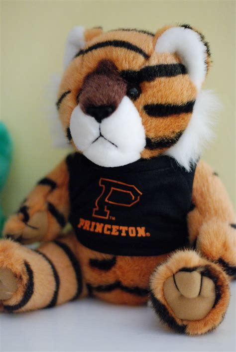 Princeton Tiger | A stuffed Princeton tiger that our friend … | Flickr