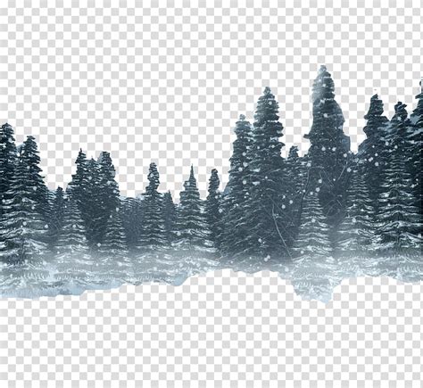 snowy forest clipart 10 free Cliparts | Download images on Clipground 2024