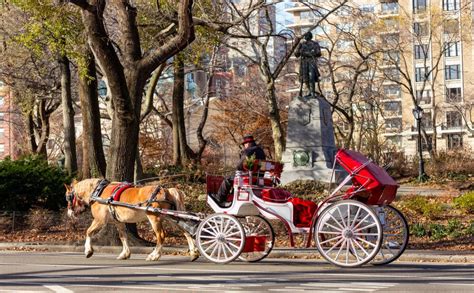 Central Park Carriage Rides & NYC Horse Carriage Tours – NYC Fancy Rides