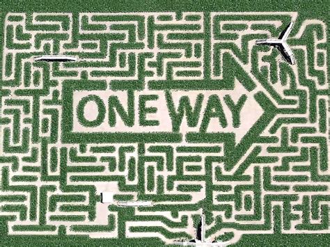 16 Biggest and Best Corn Mazes in the US to Get Lost In