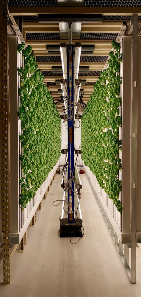 Vertical Farming