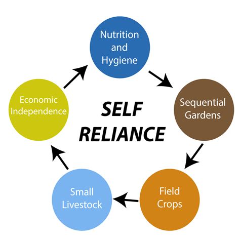 1454 Words Essay on Self-reliance and Its Importance