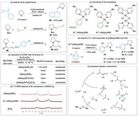 Mechanistic studies and a proposed reaction mechanism. | Download ...