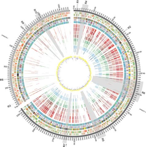 Diagrammatic Representation of the Vibrio furnissii Genome: From... | Download Scientific Diagram