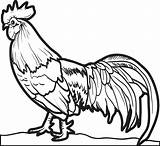 Fried Chicken Coloring Page At GetColoringscom  Free Printable sketch template