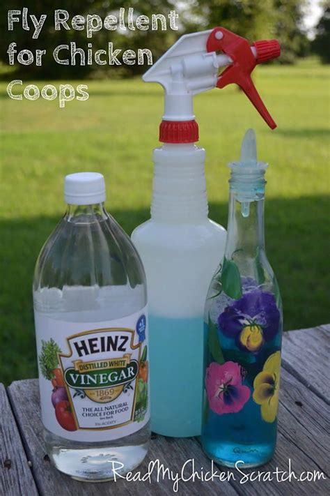 Dish Soap, Vinegar, And Water Fly Spray | How To Get Rid Of Flies ...