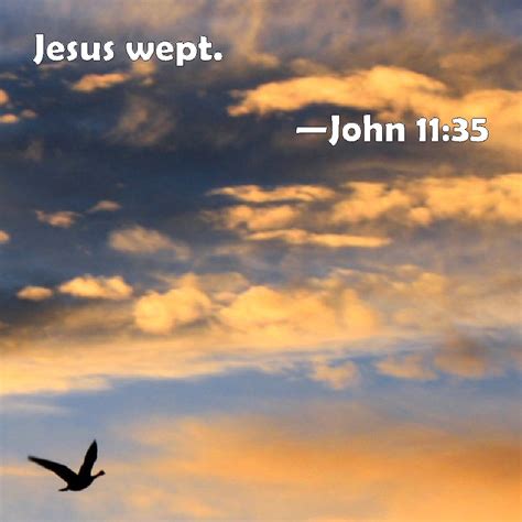 John 11:35 Jesus wept.