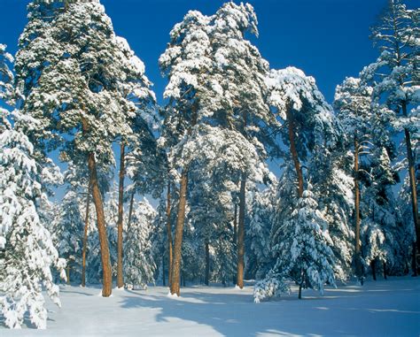 Ecological Conservation and Sustainable Development of Changbai Mountain | PANORAMA