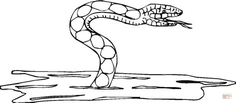 Water Snake coloring page | Free Printable Coloring Pages