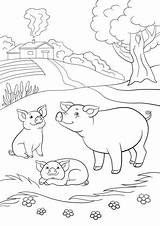 Colorear Cerdos Cerdo Cochon Maialini Schwein Pig Cochons Ausmalbild  sketch template