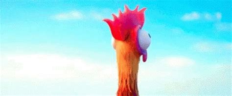 Heihei Moana GIF - Heihei Moana Chicken - Discover & Share GIFs | Moana gif, Moana chicken, Gif