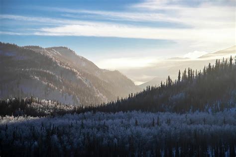 Winterfest in Denali Photograph by Nps - Fine Art America