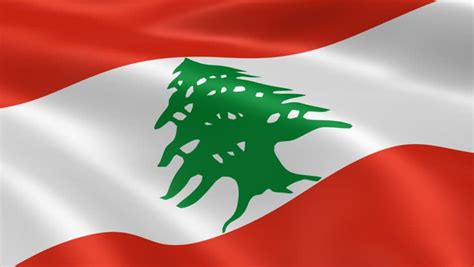 Slikovni rezultat za lebanon flag | Lebanon flag, Flag, Country flags