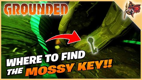 Top Ten Reviews where to get the mossy key grounded - DASHOFFER