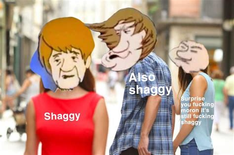 What were you expecting man | Shaggy Rogers | Know Your Meme