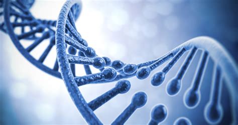 Molecular biology--Deoxyribonucleic acid (DNA)