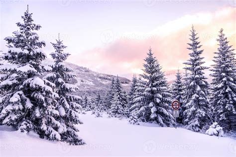 Beautiful winter forest landscape 784191 Stock Photo at Vecteezy